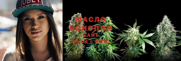 молекула духа Верхний Тагил