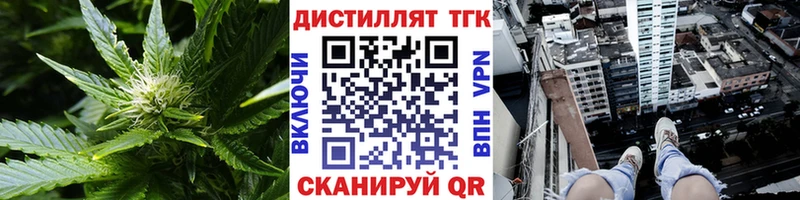 ТГК гашишное масло  Новоржев 