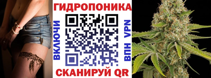 Марихуана гибрид Новоржев